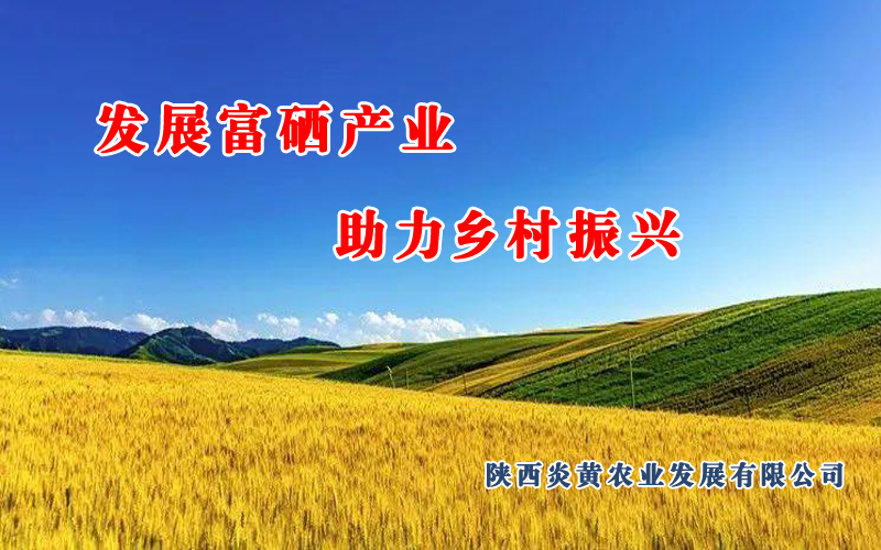 发展富硒产业助力乡村振兴