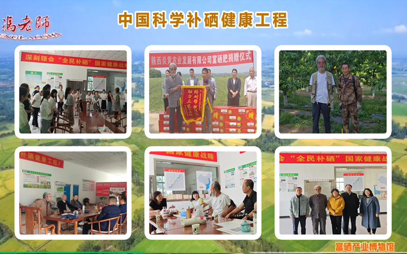把主粮富硒化作为全民补硒主要途径的战略建议
